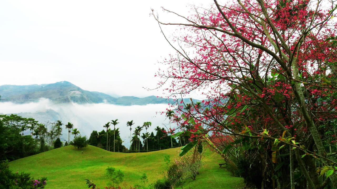 Villa Foggy Wonderland Zhushan Esterno foto